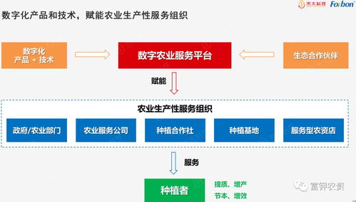dt智慧服務聯盟 攜手共赴數字農業新時代